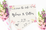 White Nights + Extras, a Script Font by Larin Type Co. (Thumbnail 7 of 9)
