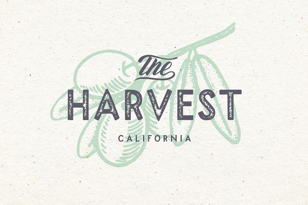 Madfish Font Family ++ EXTRAS preview 4