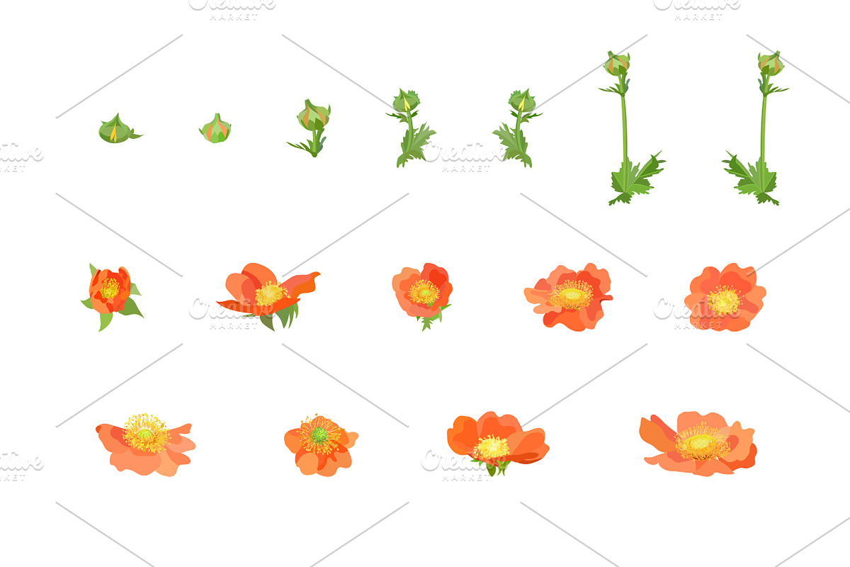 Vector object brushes. Geum. preview 5