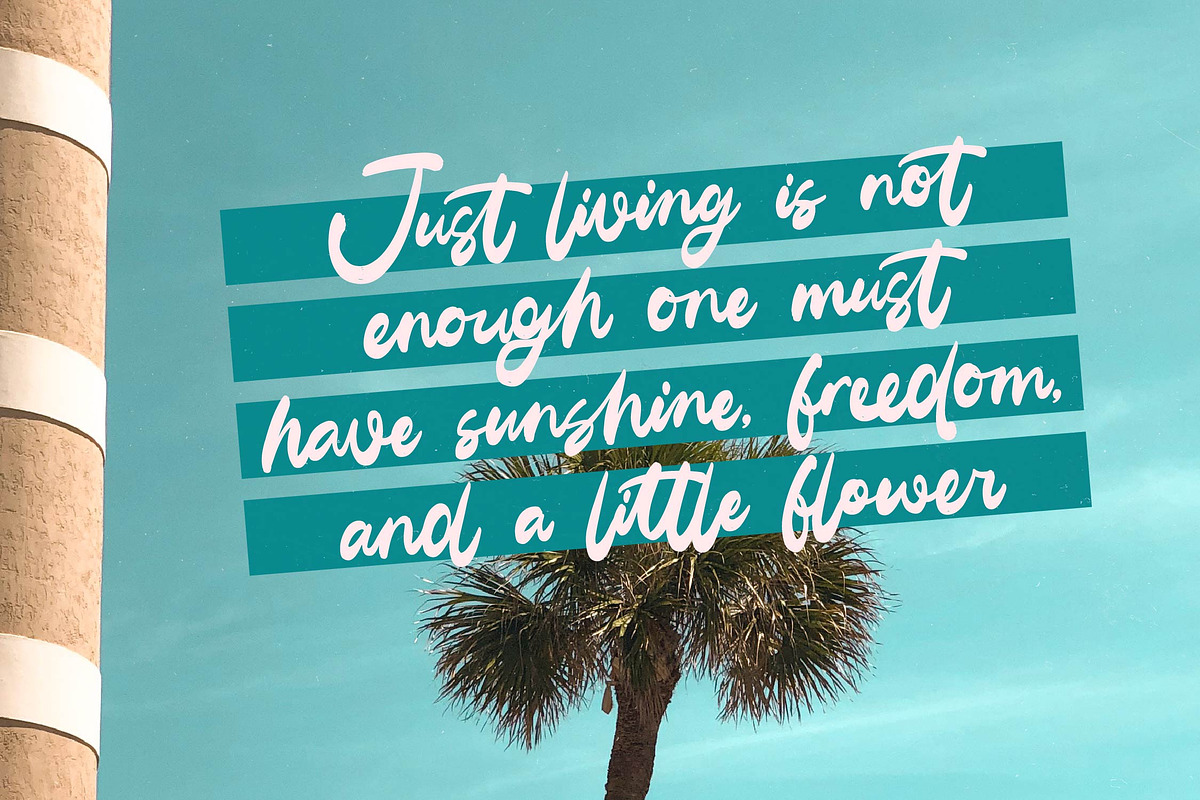 Gelmake Clencha Bold Calligraphy, a Script Font by Letterena Studios Script (Photo 12 of 20)