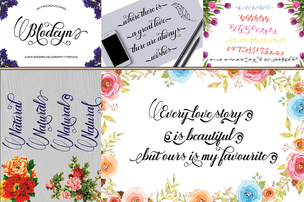 THE COLLECTION BUNDLE, a Script Font by danti (Photo 12 of 31)