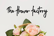 Cuddle and Kind Font Duo + Logos, a Script Font by theinkaffair (Thumbnail 6 of 10)