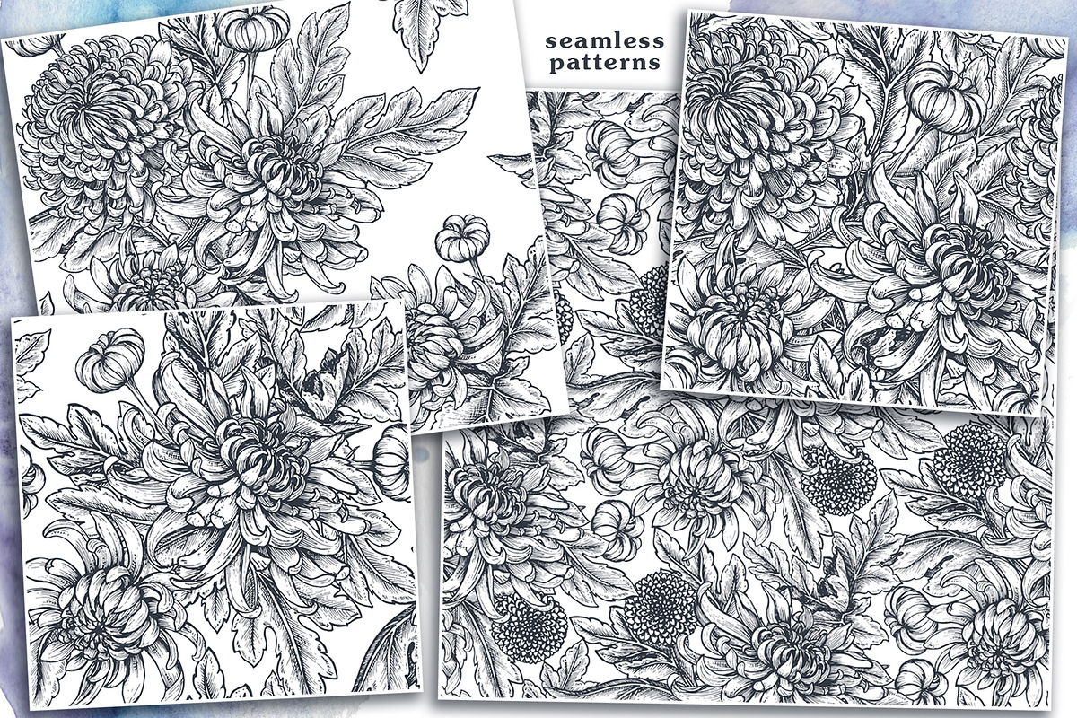 Chrysanthemum vector set, a Decorative Illustration by Molly art (Photo 7 of 11)