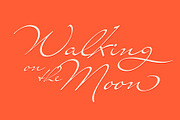 Mr Lackboughs Pro, a Script Font by Sudtipos (Thumbnail 4 of 5)