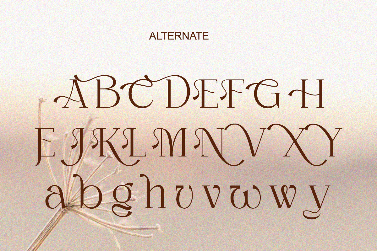 Chambery - Modern Elegant Luxury, a Serif Font by Qweera Studio (Photo 9 of 12)