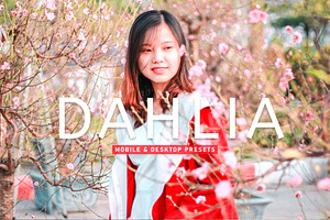 Dahlia Pro Lightroom Presets