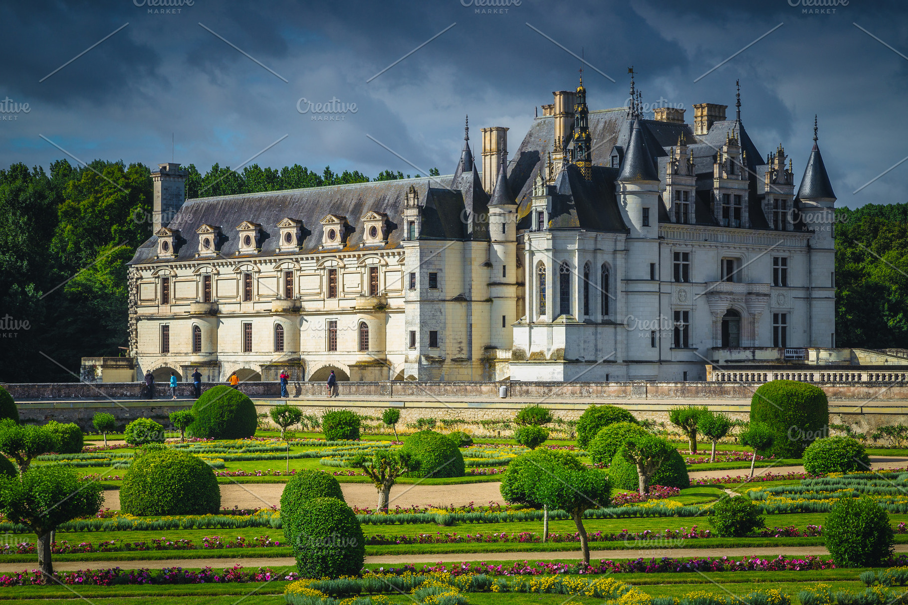 Spectacular bushes in the garden, an Architecture Photo by Alpine Dreams