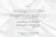 Missing Lauderdale - Handwritten, a Script Font by Brightone (Thumbnail 8 of 8)