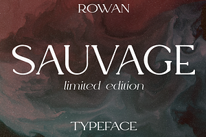 Rowan Typeface - 116 Styles & Script