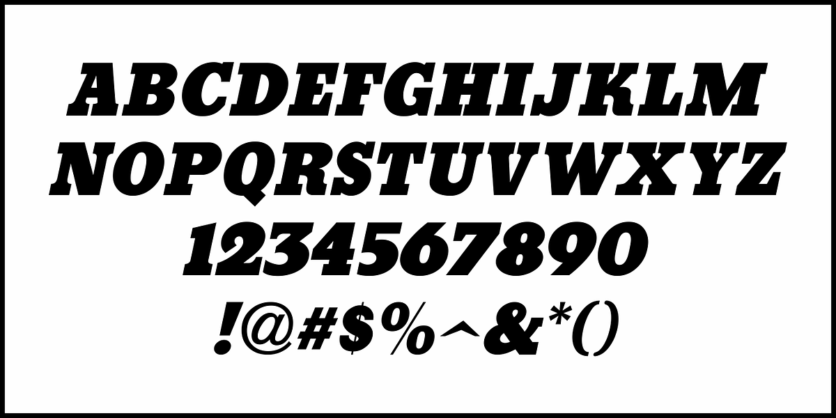 Serif Formal JNL, a Slab Serif Font by Jeff Levine Fonts (Photo 5 of 5)