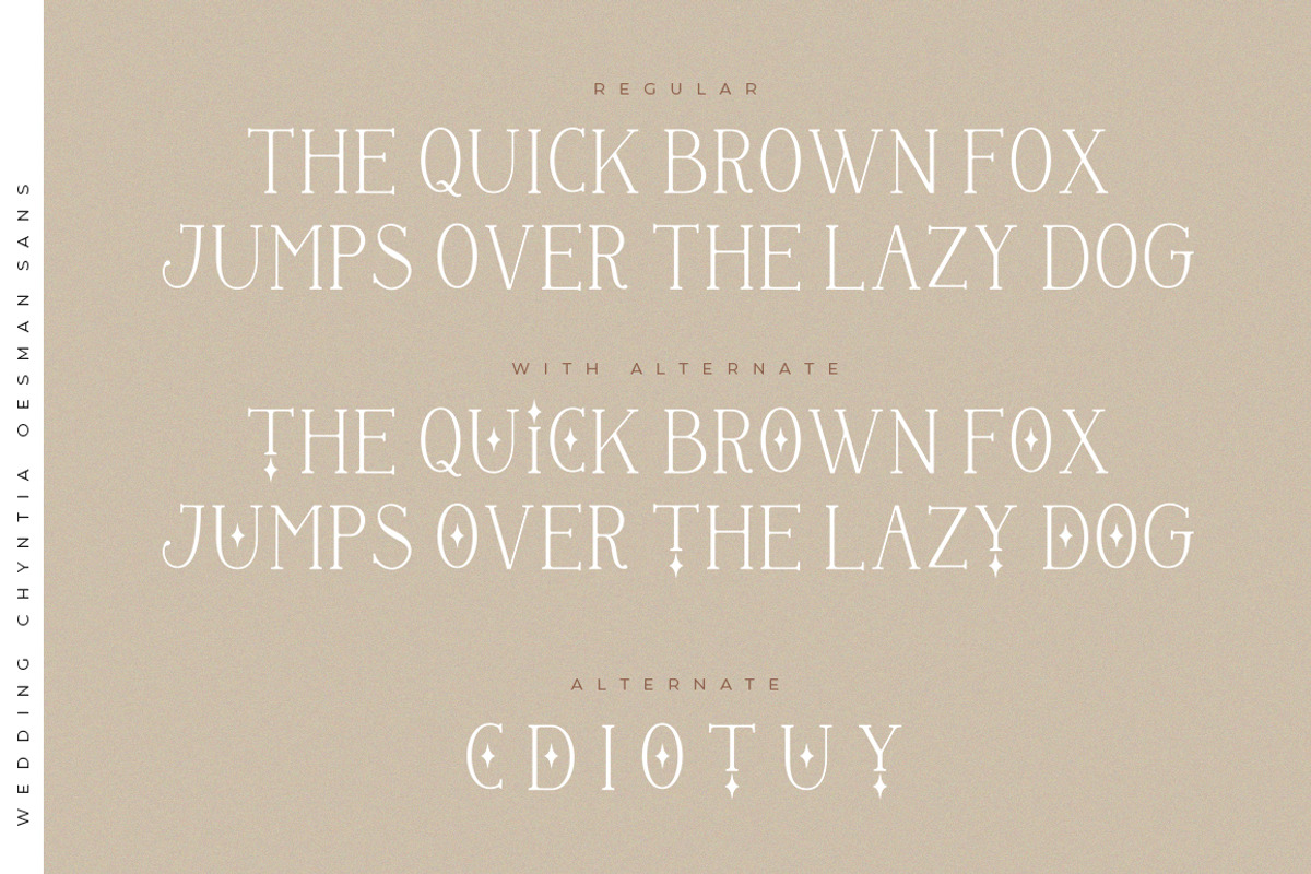 Wedding Chyntia Oesman, a Handwritten Font by Struggle Studio (Photo 8 of 13)