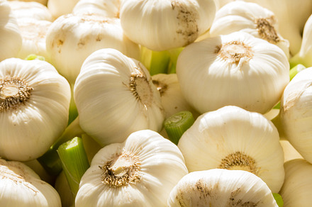White Garlic Cloves On Display preview 4