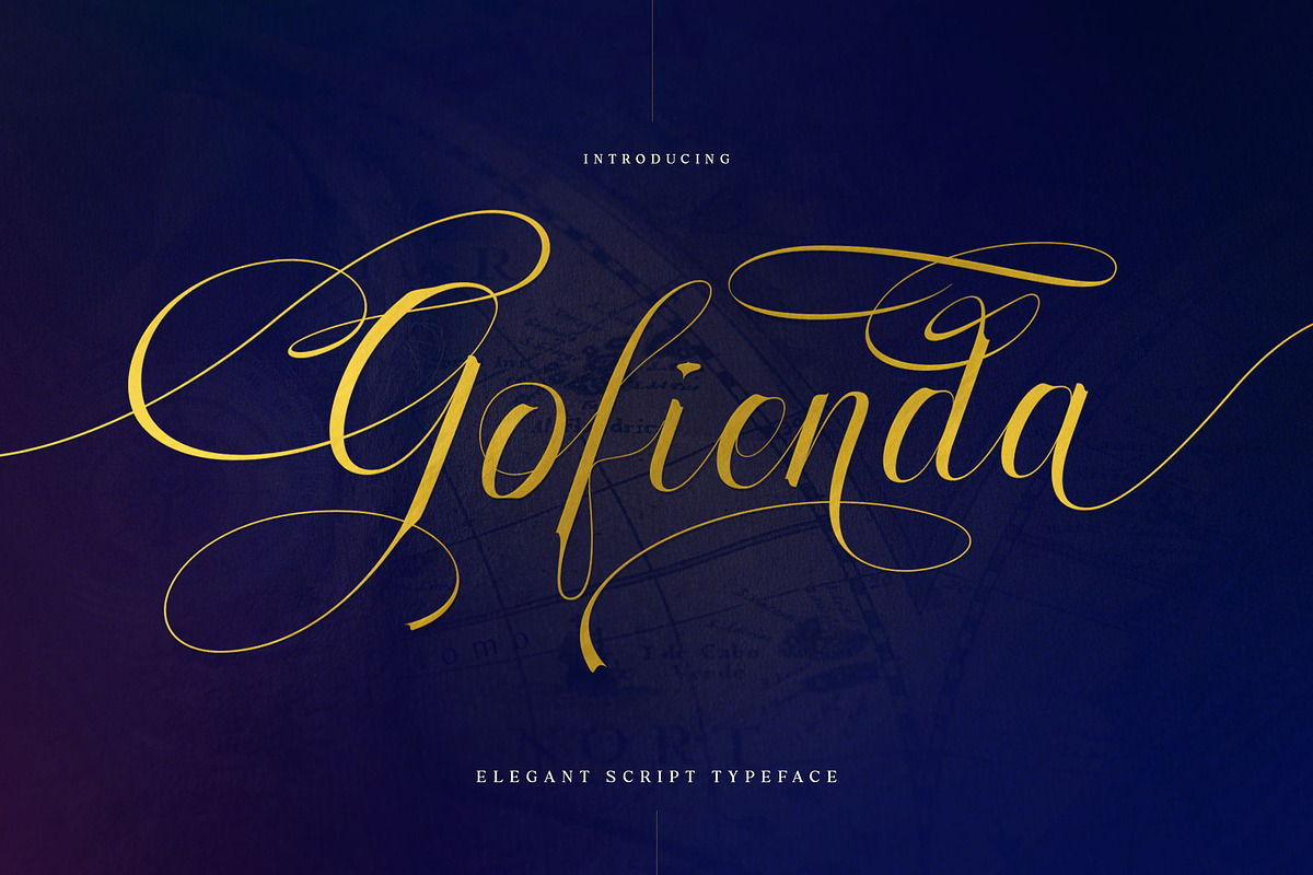 Gofienda, a Script Font by alit design (Photo 1 of 17)