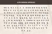 Reglona - High Contrast Serif, a Serif Font by iqbal habibi (Thumbnail 10 of 14)