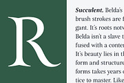 Belda, a Font by insigne (Thumbnail 4 of 5)