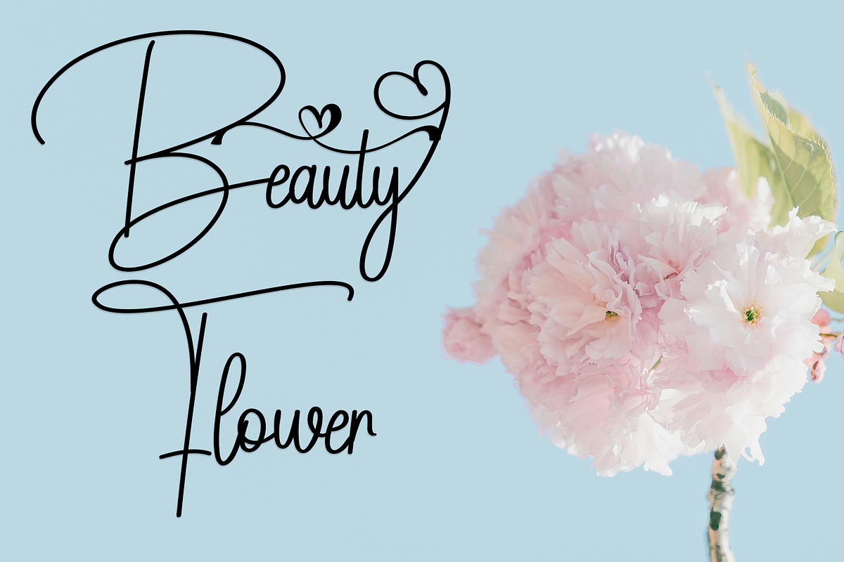 Girly Signature, a Font by FreshTypeINK (Photo 4 of 8)
