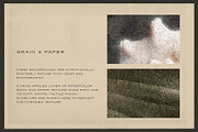 Windfall Organic Nature Backgrounds, a Background Graphic by alonahaidash (Thumbnail 14 of 14)