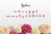 Fitamint - Script, a Script Font by SemutHitam Creative (Thumbnail 3 of 7)