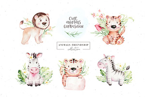 Animals Friendship. Baby Collection