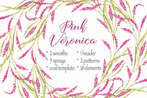 Pink Veronica Watercolor Clip Art, an Illustration by fashionaddict