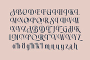 Chonza Modern Luxury Serif Font, a Serif Font by timelesstype.co (Thumbnail 14 of 20)