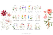 watercolor birth flowers collection, a Decorative Illustration by Patishop Art (Thumbnail 8 of 9)