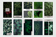 Nature Animated Instagram Stories, a Social Media Template by Social Corner Graphics (Thumbnail 8 of 9)