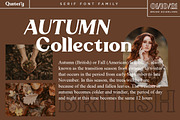Quitery Serif Typeface Family, a Serif Font by Say Studio (Thumbnail 4 of 13)