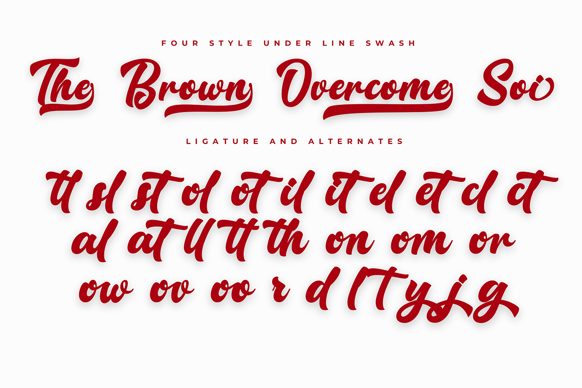 Rallidoni Lettering Font, a Script Font by Basnistudio (Photo 3 of 12)