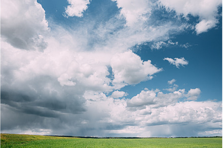 Countryside Rural Wheat Field Meadow, a Nature Photo by Our Amazing World