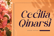 MARQUETRY - Modern Serif Duo, a Serif Font by PaperMoon (Thumbnail 3 of 14)