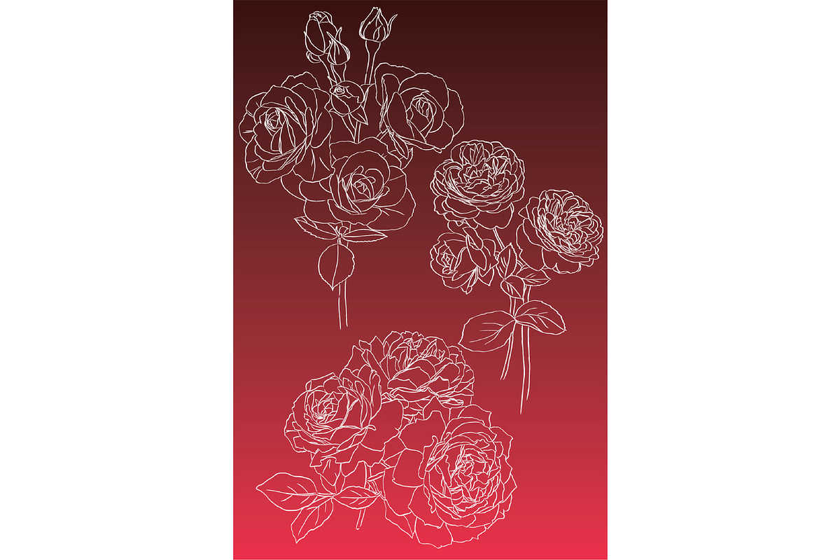 Bunch of Roses, an Object Graphic by VictoriaKStudio (Photo 5 of 8)