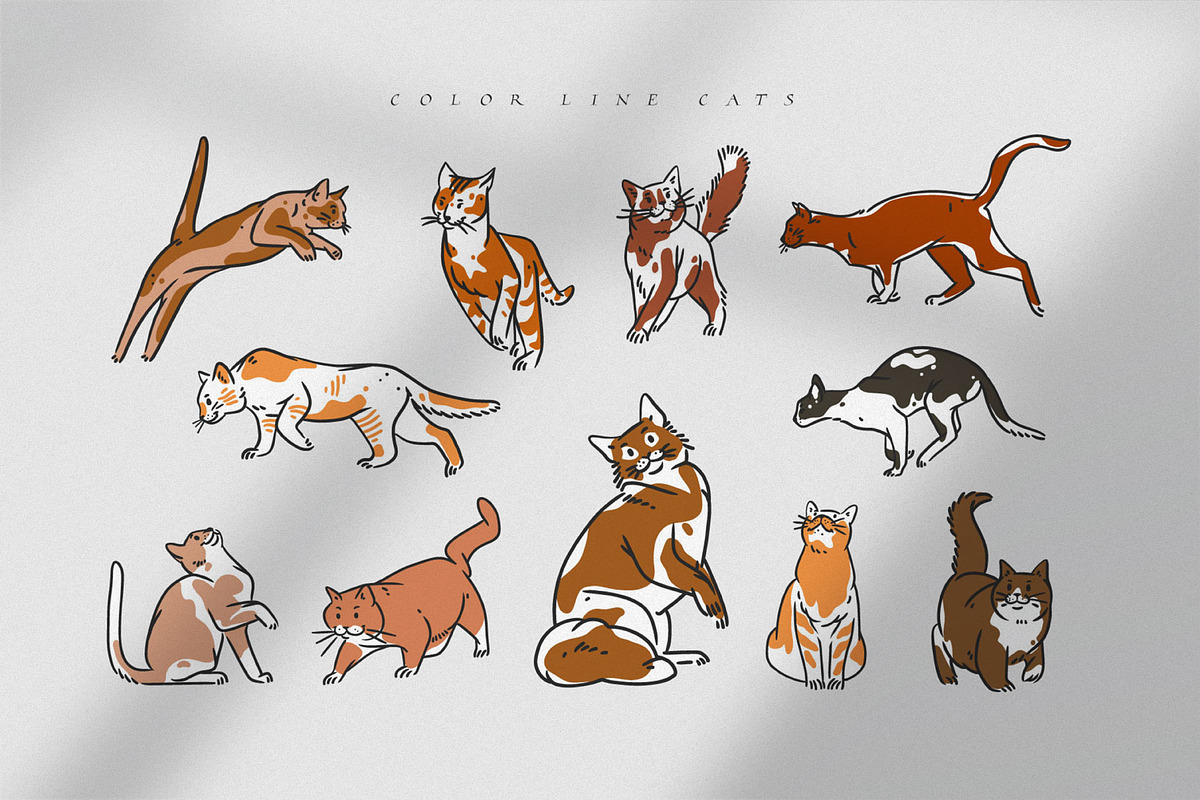 Cute cats set, an Animal Illustration by Anastasy_helter (Photo 2 of 7)