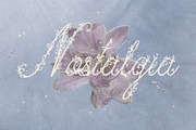 Petalia Decorative Floral Font, a Script Font by AnMark (Thumbnail 2 of 11)