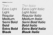 Wildborn - Logo Font, a Sans Serif Font by Umitype (Thumbnail 2 of 11)