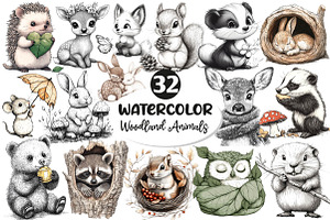 Woodland Cute Baby Animals Clipart, an Illustration by Dream Creation