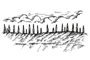 Hand drawn sketches of cypress tree, a Decorative Illustration by CGterminal (Thumbnail 6 of 7)