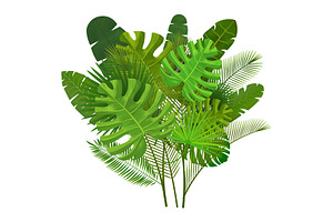 Tropical Leaves Composition Vector I