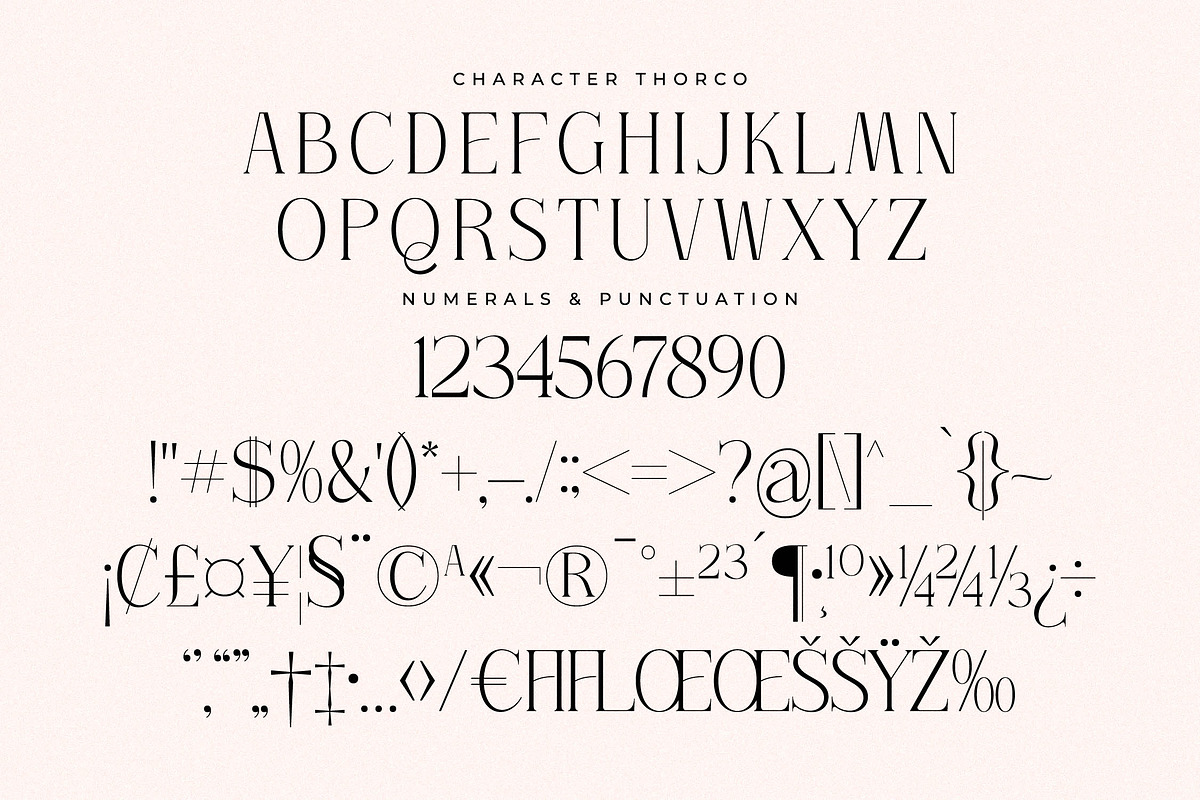 Thorco New Display Serif Font, a Serif Font by Storytype Studio (Photo 12 of 15)