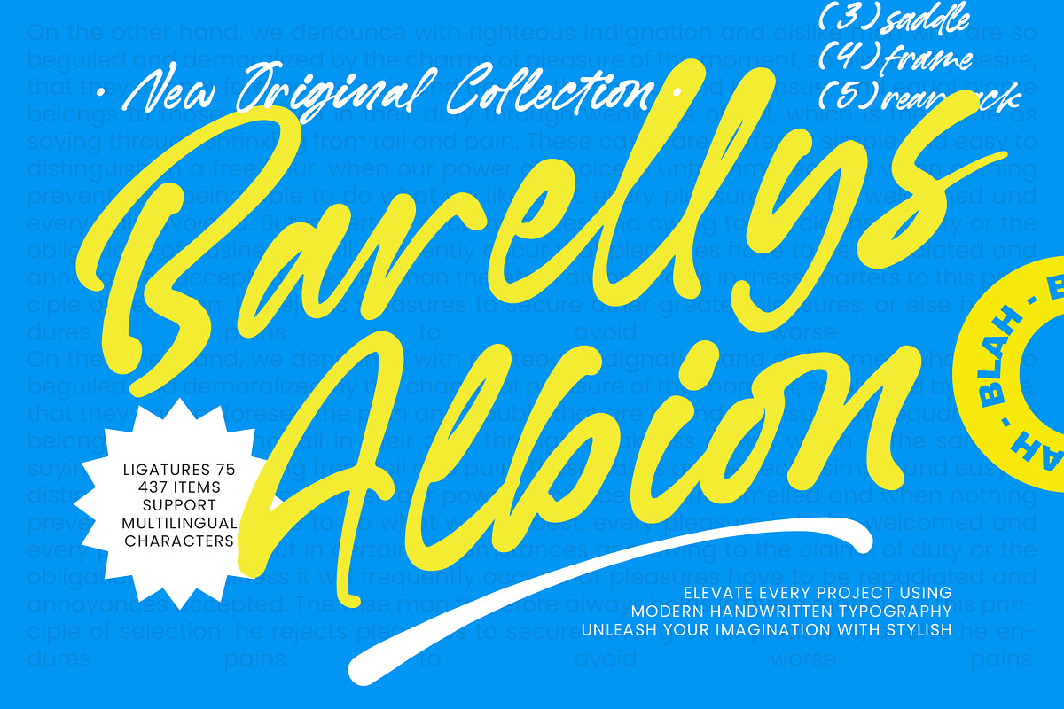 Barellys Albion Modern Handwritten, a Script Font by Letterena Studios Script (Photo 1 of 10)