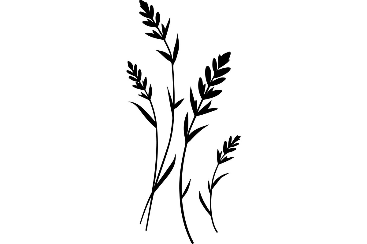 Decorative Tribal Feather Vector, an Object Graphic by Designer_Momina (Photo 4 of 18)