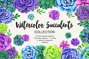 Watercolor Succulent Collection, an Object Illustration by Olga Alexeenko (Thumbnail 1 of 7)
