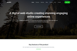 Adaric - Landing Page Template