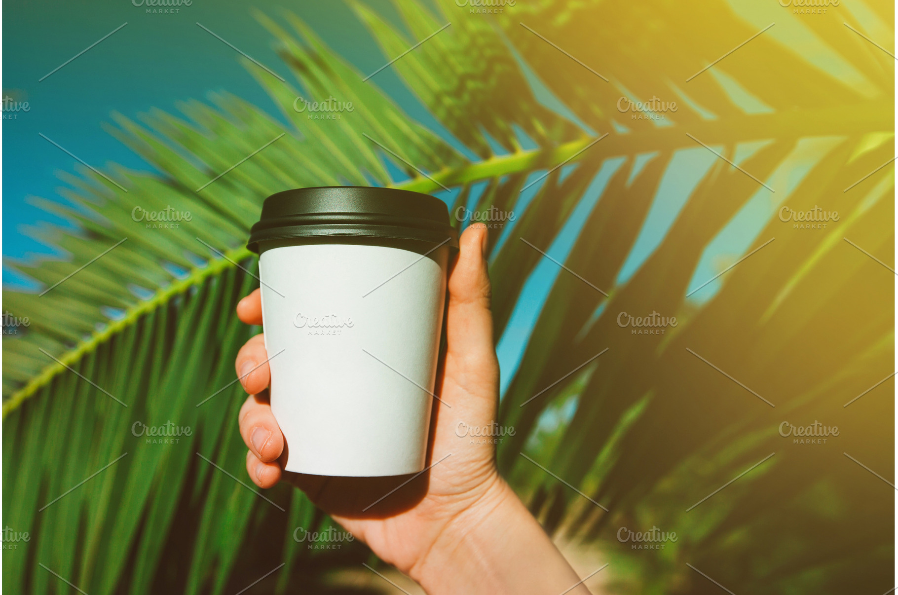Hand holding blank coffee cup under, a Holiday Photo by Anna Efetova