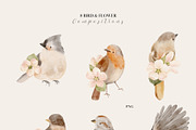 Watercolor Spring Birds & Blossoms, an Animal Illustration by Jenteva Art (Thumbnail 2 of 17)