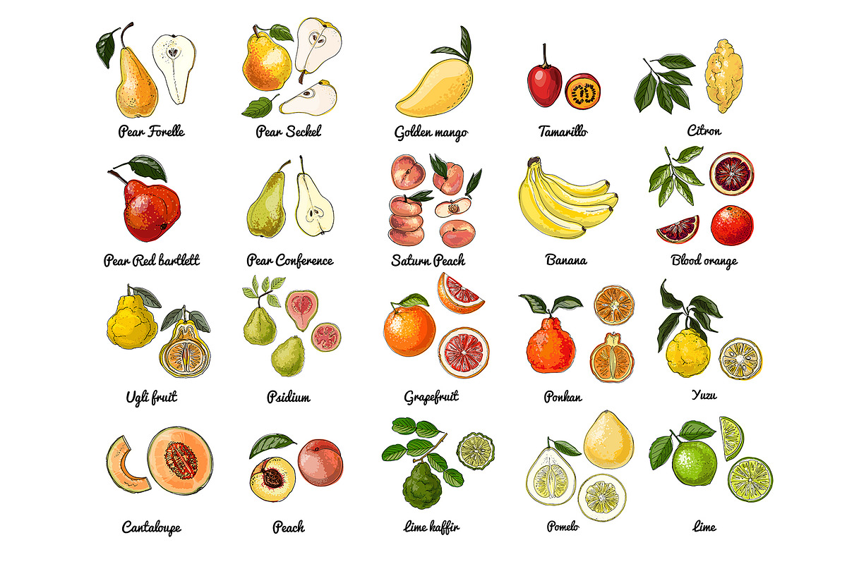 Vector food: vegetables and fruits, a Food Illustration by irina.vaneeva (Photo 12 of 16)