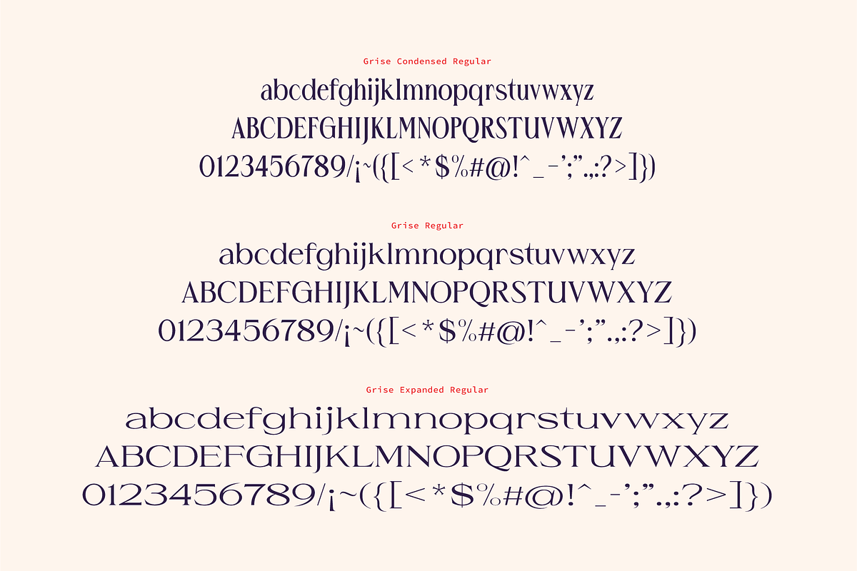 Grise - Variable Serif (18 Fonts), a Serif Font by VectorKiss GraphicsSupply (Photo 3 of 18)