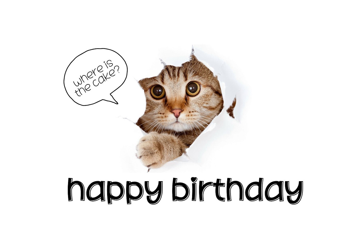 Fox Velina Font, a Handwritten Font by Fox7 By Rattana (Photo 7 of 12)