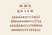Crasey Modern Display Font, a Serif Font by Storytype Studio (Thumbnail 13 of 15)