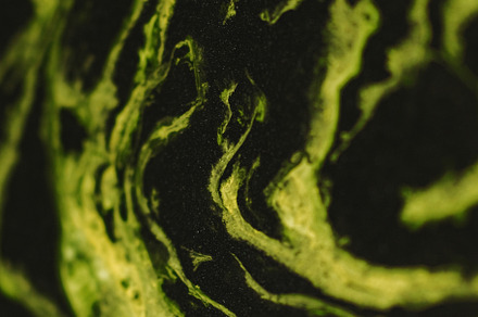 Bokeh preview 3